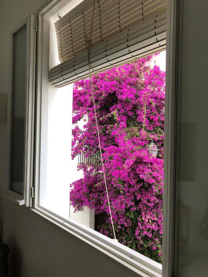 Centric Townhouse Cadaques - Casa Voltes - Villa Dış mekan fotoğraf